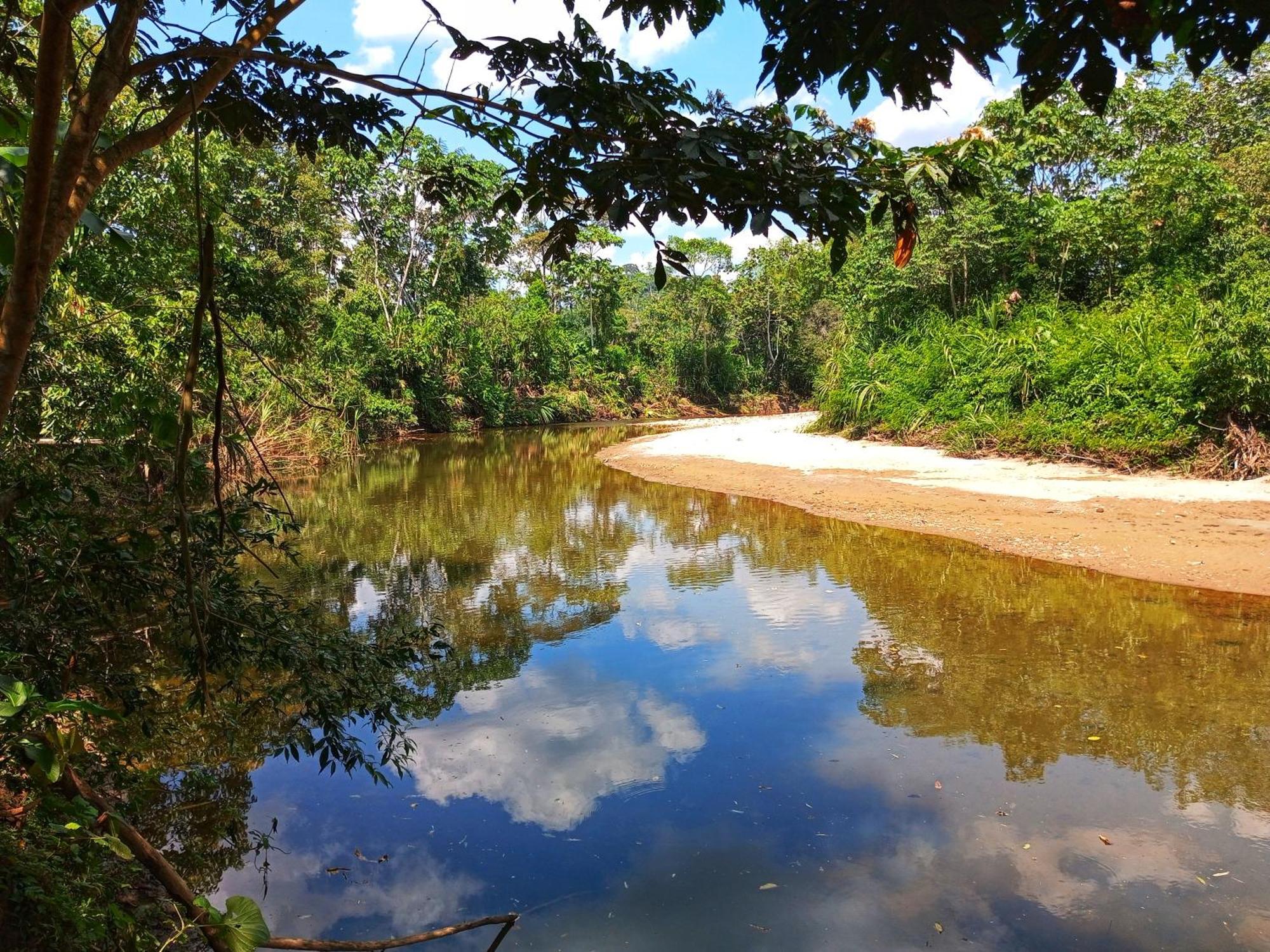 Cabanas Awana Río Arajuno Екстериор снимка